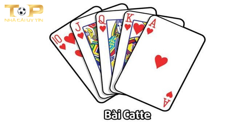 Cách Đánh Bài Catte Hay Nhất Cho Bet Thủ 2023 3 Các thuật ngữ cần biết trong đánh bài Catte