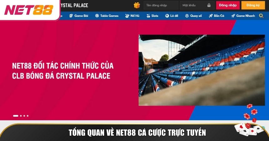 Tổng quan về NET88 cá cược trực tuyến